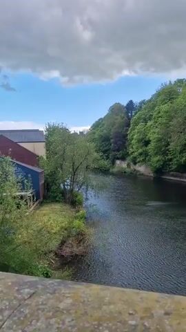 The camera pans across a river from a bridge. On one side of the river, there's a building with a blue extension and an adjacent grassy area. The river flows along a tree-lined bank on the opposite side. The camera continues panning, revealing a concrete embankment and more trees. Finally, it shows buildings further back, with trees and foliage in between. There is also a lone swan swimming in the water. The sky is cloudy with patches of blue visible.