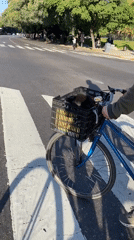 Cyclist carries dog in front crate through Buenos Aires crosswalk