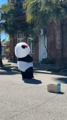 Panda costume performer and woman photographed in Sokhumi