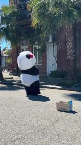 Panda costume performer and woman photographed in Sokhumi