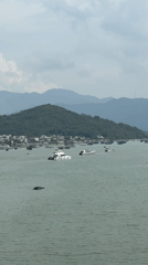 Boats gather in waters near Vietnamese coastal village