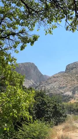 The video displays a landscape dominated by mountains and vegetation under a clear blue sky. In the foreground, branches of a tree with green leaves frame the top of the scene. Below the branches, lush green trees and bushes are visible, with a dirt path running along the right side. In the midground, the slopes of dry, arid mountains are apparent, dotted with sparse vegetation. The background features larger, rugged mountain formations, with one peak prominently visible on the left side, characterized by its rocky and layered appearance. The overall environment suggests a natural, outdoor setting, likely in a mountainous or hilly region during daylight hours. There are no people or animals visible in the video.