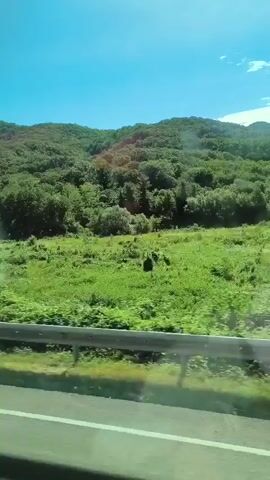 The video shows a view from a vehicle traveling along a road. On the right side of the frame, a lush green hillside covered in trees and vegetation dominates the landscape. The sky is a clear blue with a few wispy clouds. A metal guardrail is visible along the side of the road in the foreground, and a dark vertical pole is positioned in the center of the frame. The sun is shining, casting some light and reflections on the vehicle's window, creating a slight glare in places. The perspective suggests movement, indicating the video was likely taken while in transit. There are no people visible in the video.