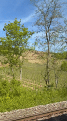 Mother and baby train journey through German vineyard country