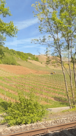 Mother and baby train journey through German vineyard country