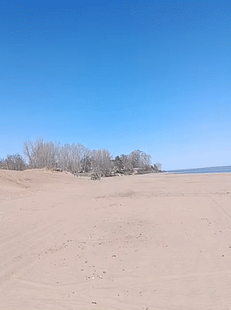 Beach Day: Child Plays on Driftwood, Naps During Outing