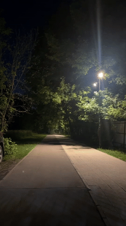 Illuminated park path captured at night in Shchyolkovo, Russia
