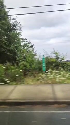 The video shows a view from a vehicle as it travels along a street. On the left side of the road, there is a dense line of green trees. As the vehicle continues, a small, brown, wooden house with a dark roof and a white front door comes into view. The house has a wreath on the door and a small porch with wooden stairs. Further down the road, another building with a dark roof and brown siding is visible, with cars parked in front of it. The video then pans to show a street corner with yellow and grey curbing, and trees and houses in the background under an overcast sky.