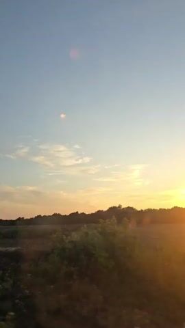 The video captures a sunset over a rural landscape. In the foreground, a tree is visible on the left side. The middle ground shows a field with some plants, and in the distance, a line of trees marks the horizon. The sun is low in the sky, casting a warm glow and creating lens flare. The sky is a gradient of blue and orange hues, with a few wispy clouds. The footage appears to be shot from a moving vehicle.