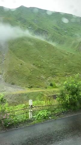 The video shows a scenic view of a misty mountain landscape. The mountains are covered in lush green grass, with some rocky outcrops and a streambed visible. Clouds or mist are rolling down the mountainside, creating a dramatic effect. In the foreground, there is a wet asphalt road, a metal fence with a white post, and some vegetation including pink wildflowers and large green leaves. The weather appears to be overcast and possibly rainy, as evidenced by the wet road and the appearance of water droplets on the camera lens. The overall atmosphere is one of natural beauty and a somewhat moody, atmospheric environment.