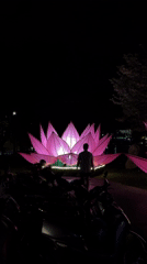 Person stands among illuminated lotus flowers in Da Lat