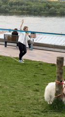 Park activities and dog sighting documented in Nizhny Novgorod