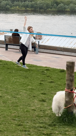 Park activities and dog sighting documented in Nizhny Novgorod