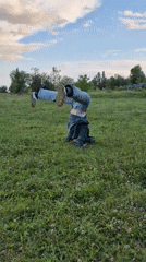 Gymnastics and laughs in a field, bee food truck nearby