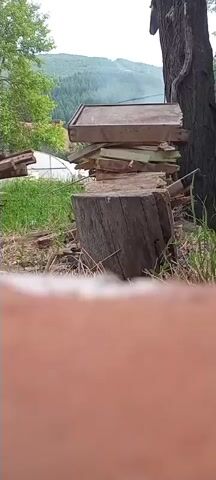 A person is chopping wood in an outdoor setting. They place a piece of wood onto a stump and then strike it with an axe. This action is repeated multiple times. In the background, there are piles of wood, trees, a greenhouse, and a hilly landscape. The weather appears to be overcast.