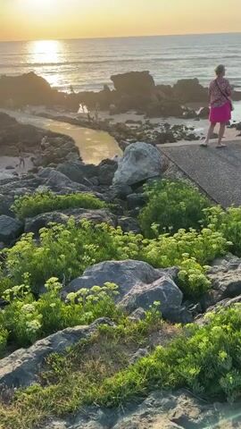 The video shows a rocky shoreline with lush green plants and small white flowers in the foreground. A narrow channel of yellowish water flows from the land towards the sea. In the background, people are visible on the beach, in the water, and near rocky outcrops. The sun is setting over the ocean, casting a warm glow on the scene. The waves are gently rolling onto the shore. A person in a pink shirt and shorts is walking on a paved path to the right of the frame. A white signpost is visible on the rocky area near the channel.