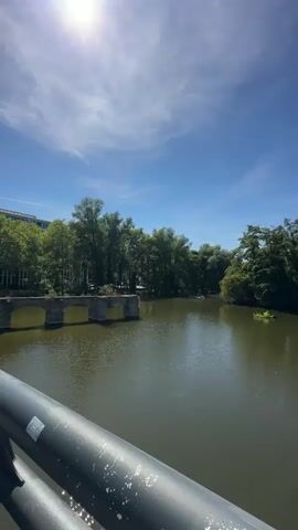 A vertical, first-person perspective video pans across a calm, greenish body of water, likely a pond or slow-moving river, on a bright, sunny day. The sun is a bright, slightly hazy orb in the upper left corner of the frame, casting a lens flare and bright light onto the scene. A gray railing, speckled with white paint, occupies the bottom portion of the frame, indicating the viewpoint is from a bridge or elevated walkway.

Across the water, a dense line of lush green trees forms the background. To the left, a small, stone bridge with several arched openings is visible, partially submerged in the water. On the far side of the water, amidst the trees, hints of buildings can be seen, suggesting an urban or park-like setting.

In the middle of the water, a small, vegetated island or mound is present. Further to the right, another similar, smaller mound is visible. A small, bright yellow object, possibly a small boat or floating debris, can be seen on the water in the middle distance on the right side. The sky is a clear, vibrant blue with a few wispy white clouds. The water is still, with gentle ripples reflecting the sunlight and the surrounding greenery. The overall impression is a tranquil, scenic outdoor environment.