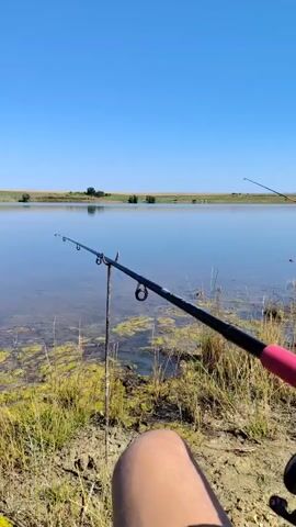 A fishing rod stands in the foreground, partially obscuring a body of water with algae. The rod rests on a stick. The water reflects a clear blue sky and a distant landscape of rolling hills dotted with trees. The shoreline is covered in dry grass and some vegetation. In the distance, a yellow object is visible in the water, and another fishing rod can be seen on the right side of the frame. The video is filmed from a low angle, focusing on the fishing setup.