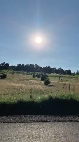 The media file captures a serene rural landscape under a bright, sunny sky. The sun is prominently positioned in the upper center of the frame, casting a strong, radiant glow that suggests it is likely mid-morning or early afternoon. The sky is a clear, vibrant blue with no visible clouds, indicating fair weather.

The scene is dominated by rolling hills covered in dry, golden-yellow grass, punctuated by scattered, dark green trees. Some of these trees appear to be coniferous, while others might be deciduous. In the foreground, there is a strip of lush green grass, possibly a verge or a field edge, separating the dry field from what appears to be a paved surface, possibly a road or a path, at the very bottom of the frame. The ground texture suggests a natural, undeveloped area.

In the middle ground, faint hints of structures or utility poles are visible, suggesting some human presence or infrastructure in the distance, but they are not prominent. The overall atmosphere is one of tranquility and natural beauty. The natural lighting and the expansive landscape evoke a sense of peace and openness. The location cues, combined with the rural setting, point to a countryside environment.

There is no visible text within the media file. The time of day is clearly indicated by the high position and intensity of the sun. The weather is definitively sunny and clear. The scene depicts a static view of the landscape, with no discernible activity or event taking place beyond the natural elements. The overall emotion conveyed is one of calm and natural splendor.