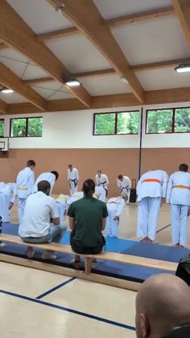 The video shows a group of people in a gymnasium, likely participating in a karate class or demonstration.  Most of the individuals are wearing white gis, and some have colored belts.  At the front of the group, several people are standing in a line, facing forward, with some bowing.  In the background, there are large windows with trees visible outside. The gymnasium has wooden beams and ceiling panels, with fluorescent lighting. In the foreground, two adults are sitting on a blue and yellow mat, facing the group, with their backs to the camera. One adult is wearing a white shirt, and the other is wearing a green shirt. Another person's head is visible in the very bottom of the frame, also facing the group. The atmosphere appears to be formal, with participants standing at attention and performing synchronized movements.