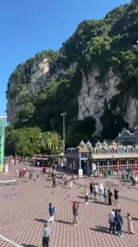 The video shows the Batu Caves complex in Malaysia. The primary features of the scene are the large limestone hill covered in lush green vegetation, the ornate temple structure at the base of the hill, the vibrant and colorful staircase leading up to the cave entrance, and the massive golden statue of Lord Murugan standing guard. Many people are scattered across the paved courtyard, including tourists and locals who are walking, taking pictures, and interacting with the environment. Numerous pigeons also populate the courtyard, adding to the lively atmosphere. The scene is bathed in bright daylight under a clear blue sky, suggesting a sunny day.