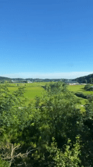 Rolling past green rice paddies near Gangneung in summer