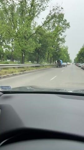 The video shows a car driving down a road with cars parked on the right side. On the left, there's a horse-drawn carriage with a blue covering. The road is lined with trees, and the weather appears overcast. The camera is positioned from inside the car, looking out through the windshield.
