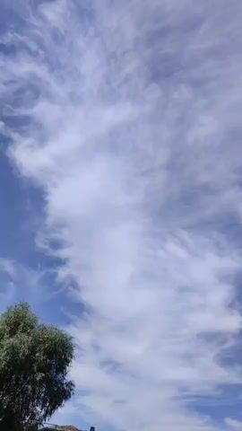 The video shows a time-lapse of a sky with wispy white clouds moving across a bright blue sky. A tree with green foliage is visible in the lower left corner of the frame. The sun appears to be shining, casting a bright light. The camera angle is looking upwards towards the sky.
