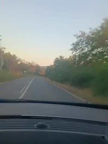 A first-person perspective video shows a car driving on a rural road with trees and foliage on either side. The road is paved and has a white line marking the lane. In the distance, another vehicle, a white van, is approaching the car. The sky is clear and appears to be dusk or dawn. The camera is positioned inside the car, looking forward through the windshield.