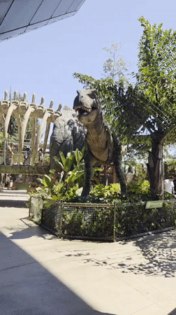 Evening at Discovery Science Center: dinosaurs, space, and hands-on exhibits