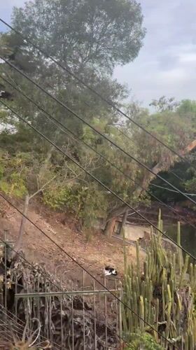 Elevated views of Santiago hillsides and zoo captured