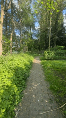 Park walk documented across Katwijk-Rijnsburg green spaces