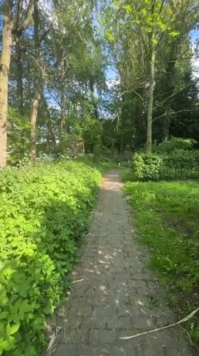 Park walk documented across Katwijk-Rijnsburg green spaces