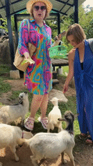 Goats and macaws at a Ko Samui animal attraction