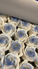 Artificial roses and portraits documented in Noviy, Russia