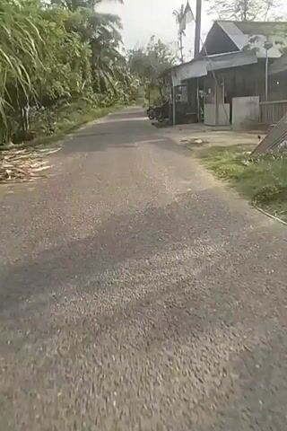 The video is a first-person perspective shot of a person riding a motorcycle down a paved road lined with trees and vegetation. There are some structures on the right side of the road, including what appears to be a house or shop with a motorcycle parked in front of it. The road is in decent condition with some patches. The sky is overcast. The video is approximately 5 seconds long.