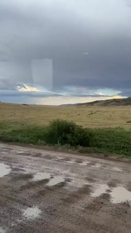 The video shows a wide shot of a muddy dirt road in the foreground with several puddles reflecting the cloudy sky. Beyond the road is a vast, rolling grassy field. In the distance, rolling hills form the horizon, and the sky is filled with heavy, dark clouds, suggesting an impending storm. There are no people or animals visible in the video. The lighting is dim and overcast.