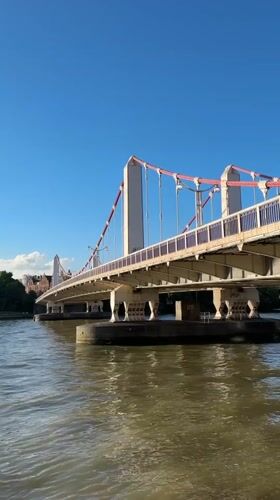 Sunny evening on a London suspension bridge, bus and dogs in tow