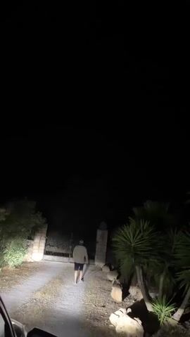 A person walks towards a gate at night, illuminated by headlights. The person is wearing a cap, a light-colored jacket or sweatshirt, and shorts. They are walking on a gravel driveway. There are palm trees and vegetation visible on either side of the driveway, and a stone pillar stands to the right of the gate. The background is dark and out of focus.