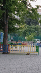 Afternoon at a park: benches, a colorful fence, and maple canopy
