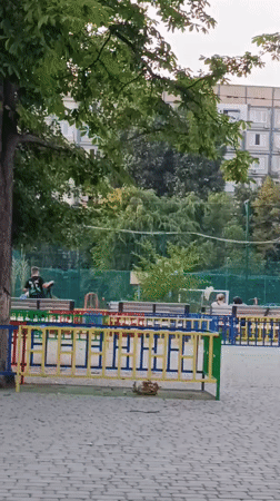 Afternoon at a park: benches, a colorful fence, and maple canopy