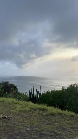 A video pans across a coastal landscape. In the foreground, dry grass covers the ground, with a few dark objects scattered on it. To the left, a cluster of tall, thin cacti stand. To the right, lush green trees and more cacti are visible. Beyond the vegetation, a body of water stretches to the horizon. The sky is filled with dramatic, dark clouds, but a bright spot of sunlight breaks through, casting a shimmering reflection on the water. The scene appears to be a transition between day and evening, possibly during or after a storm.