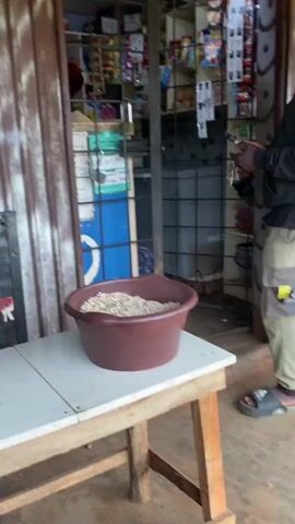 A person wearing a black hooded sweatshirt, tan cargo pants, and sandals stands outside a small shop, looking at a phone. In front of the person is a table with a large brown bowl filled with a light-colored granular substance, likely grain or seeds. The shop entrance is a doorway with metal bars, and inside, shelves are stocked with various items. To the right of the entrance, a corrugated metal door is partially closed. A sign with the letters "POS" is visible on a black board. The environment appears to be an outdoor market or a simple storefront.