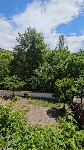 The video shows an exterior scene on a day with a partly cloudy sky. The foreground features dense green vegetation, likely vines or bushes. Beyond that, there is a patch of bare, possibly dirt-covered ground. A low white wall with a red trim is visible further back, bordering a lush area filled with various trees and plants. One particularly tall, slender tree stands out. The camera is static and the scene appears natural.