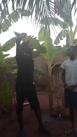 Two young men are standing in a yard. The first man, wearing black shorts and a black shirt, is holding a yellow object above his head and then begins washing his head. The second man is wearing a white shirt, blue shorts, and sandals. He is standing still, watching the first man. Banana trees and other greenery are visible in the background, as well as a section of a brown wall. The ground appears to be reddish dirt. The sky is overcast.  The man in black says "Arafa or online class." Then "who needs a one or two, ah really".