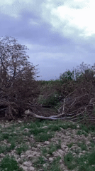 Storm damage documented across rural Qila Saifullah, Pakistan