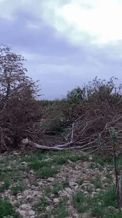 Storm damage documented across rural Qila Saifullah, Pakistan