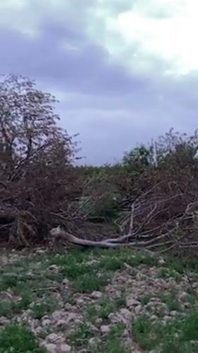 Storm damage documented across rural Qila Saifullah, Pakistan