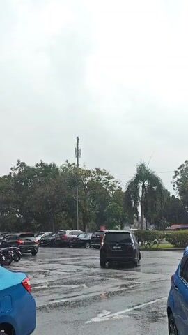 A grey, overcast sky looms over a wet asphalt parking lot. Cars, motorcycles, and a blue sedan are parked or moving through the lot. A tall cell tower stands in the background, surrounded by trees, including a prominent palm tree. Rain appears to be falling, causing puddles and reflections on the ground.