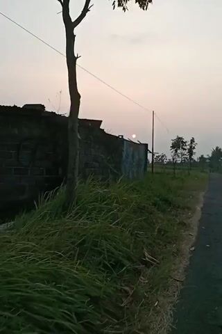The video captures a landscape at dusk. The sky is a pale orange and white, suggesting either sunrise or sunset. In the foreground, there is tall green grass and a dirt path or road on the right side. To the left, there is a crumbling brick wall and a metal structure that appears to be some sort of shed or enclosure, covered in graffiti. A thin wire stretches across the frame from left to right, supported by poles. Further in the distance, there are several young trees, some with sparse foliage, and beyond that, green fields and a hazy horizon with indications of more structures or trees. The sun, a small, bright circle, is visible in the sky, slightly off-center to the left. The overall impression is one of a rural or semi-abandoned setting.